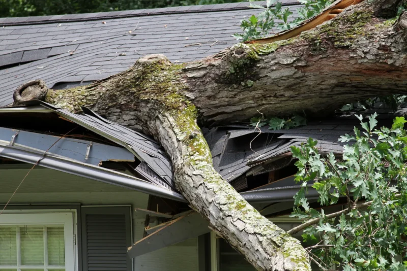 State Construction Roof Repair (2)